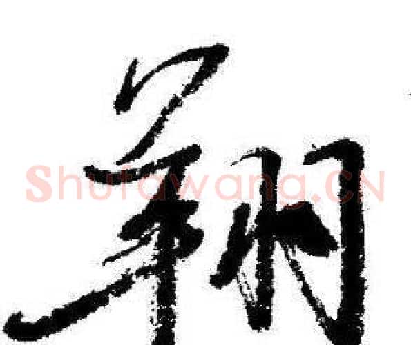 翔