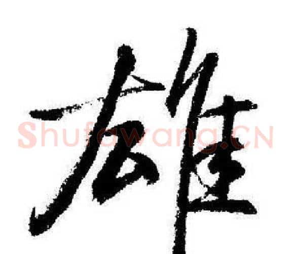 雄