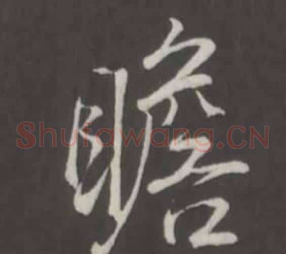 瞻