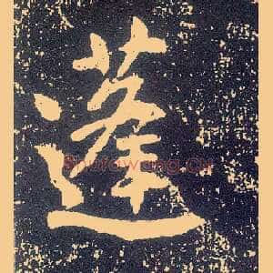 蓬