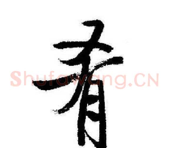 肴