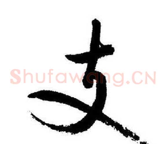 支