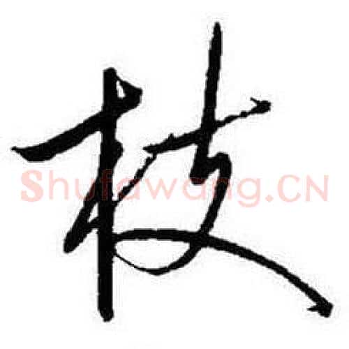 枝
