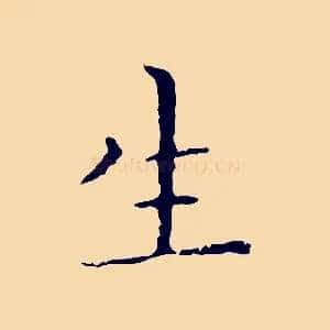 生