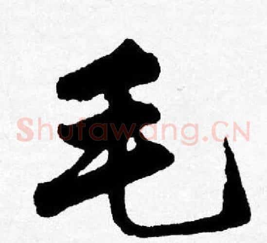毛
