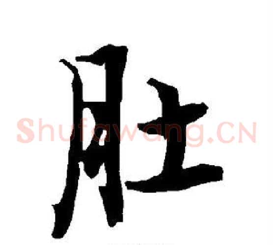 肚
