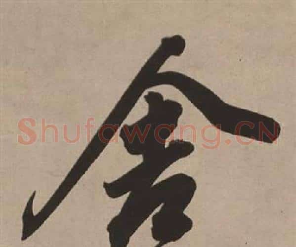 舍