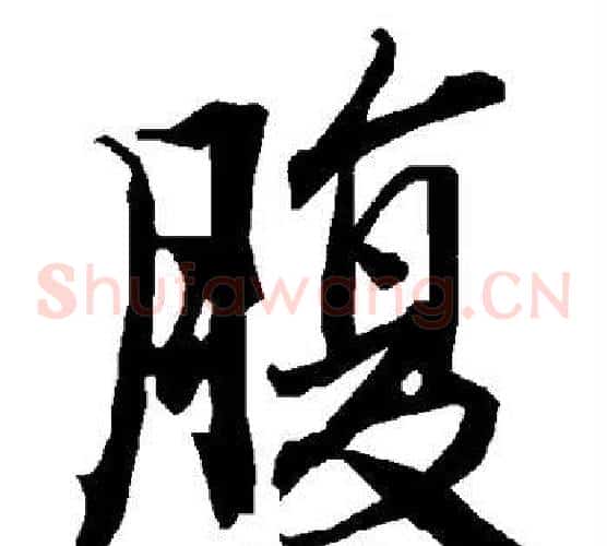 腹