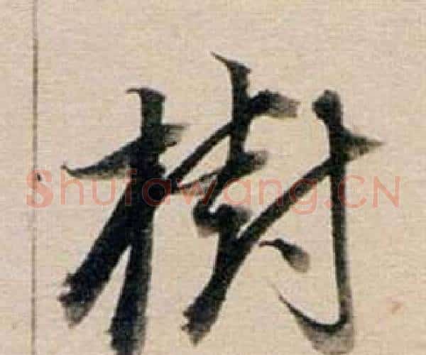 樹