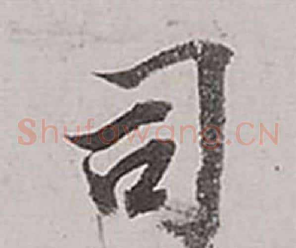 司