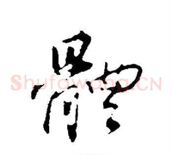 体