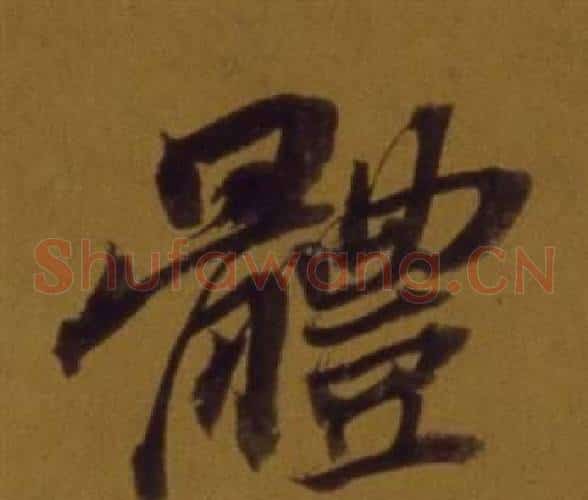 體
