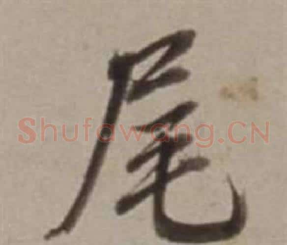 尾
