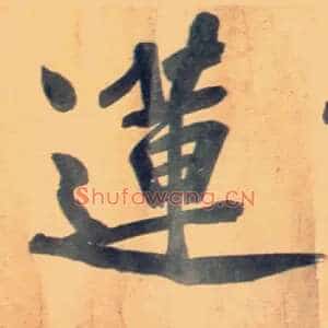 莲