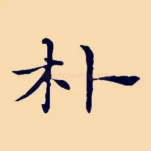 朴