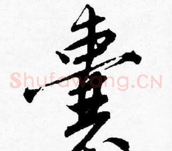 囊