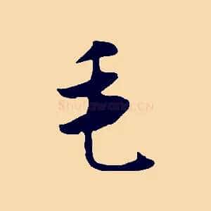 毛