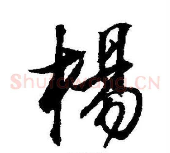 杨
