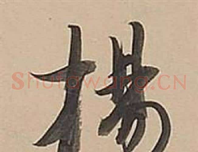楊