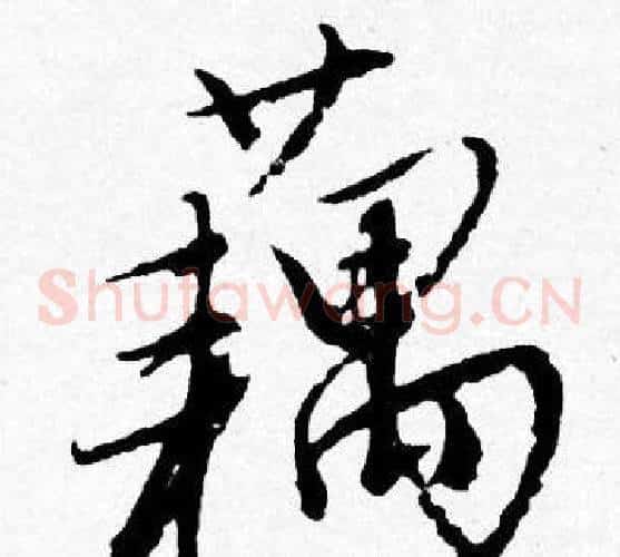 藕
