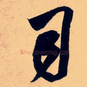司