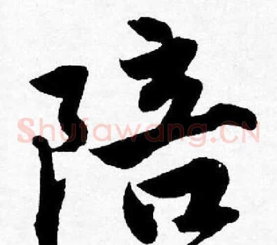 陪
