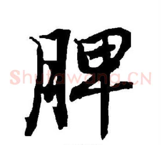 脾