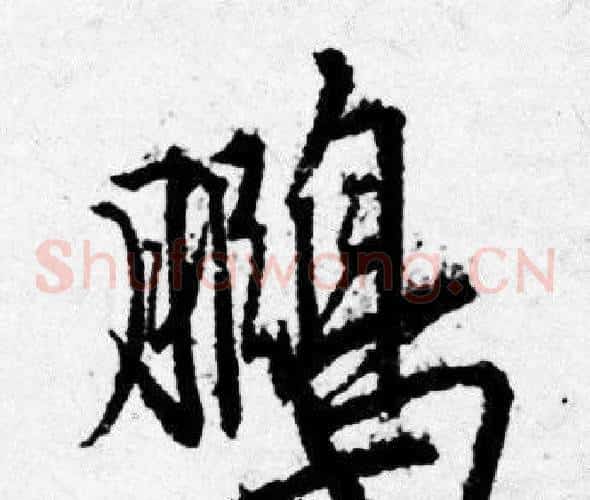 鹏