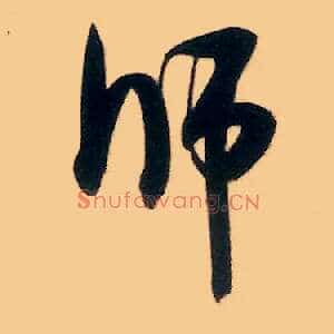 师