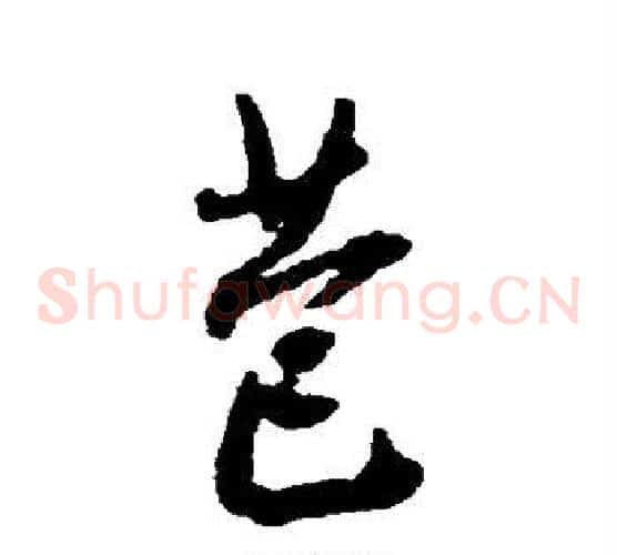 苞