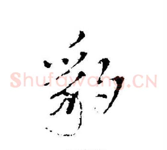豹