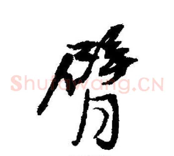臂