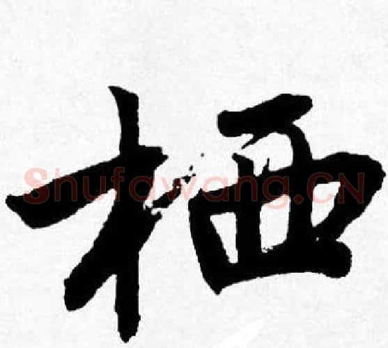 栖
