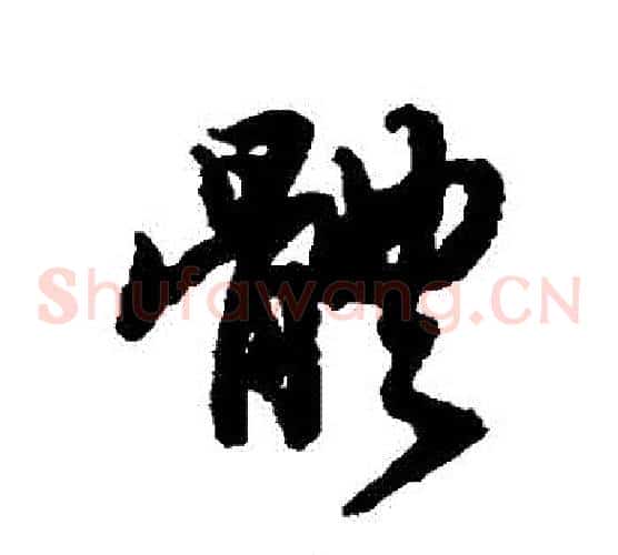 體