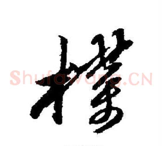 朴