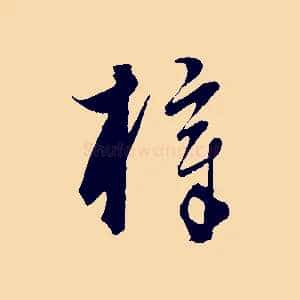 梓