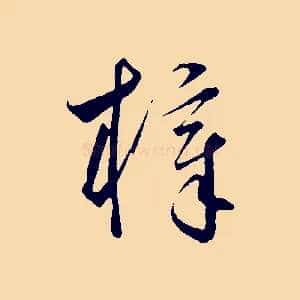 梓