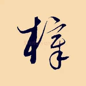 梓