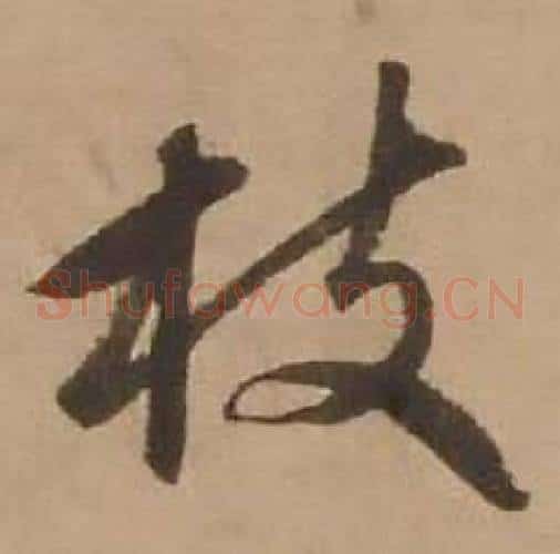 枝
