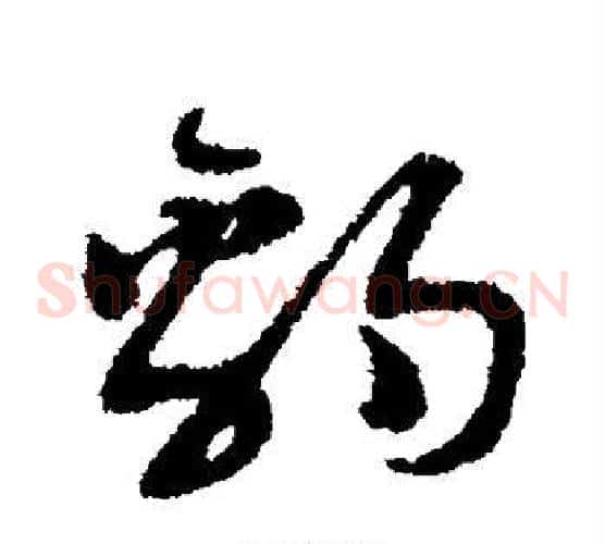 豹