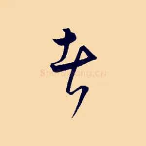 者