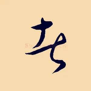者