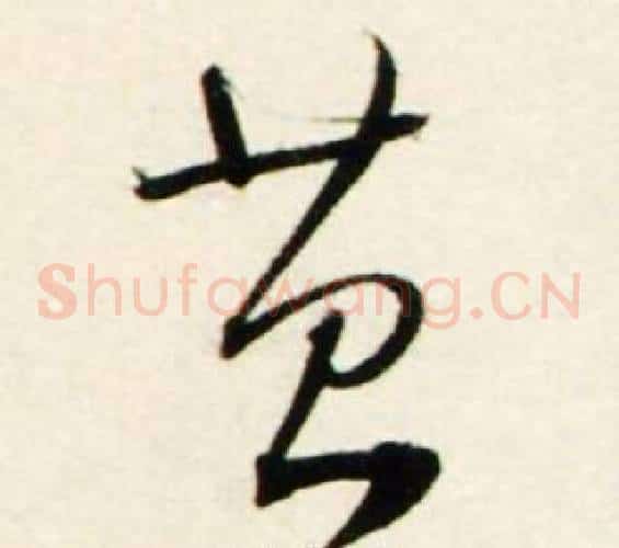苔