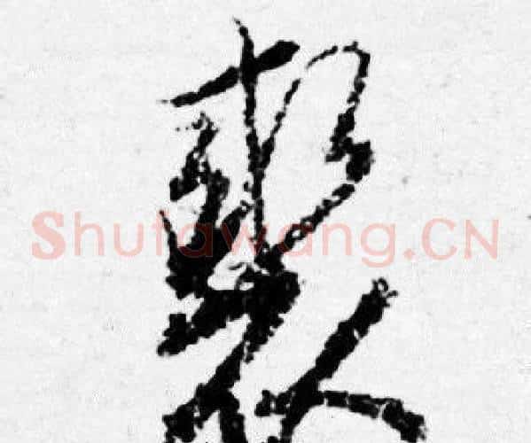 裘