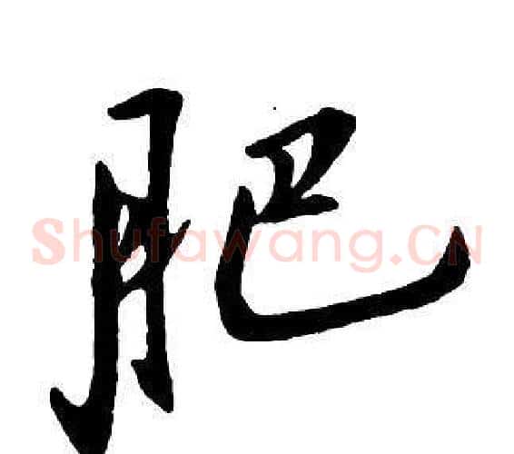 肥
