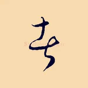 者