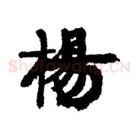 杨
