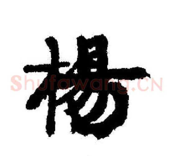 楊