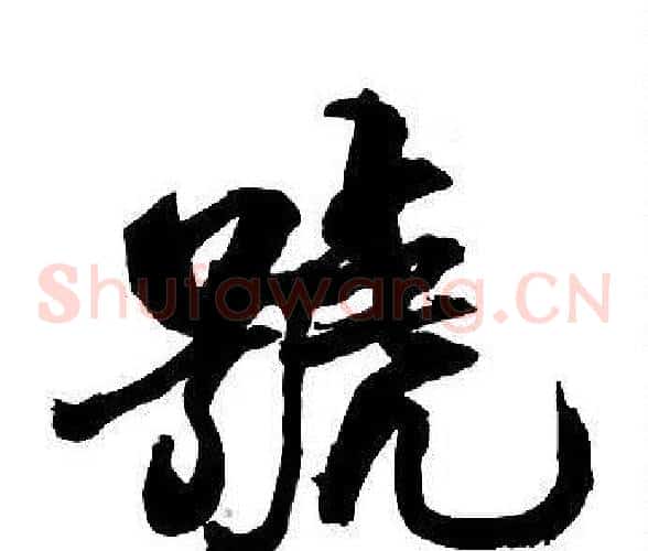 號