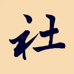 社